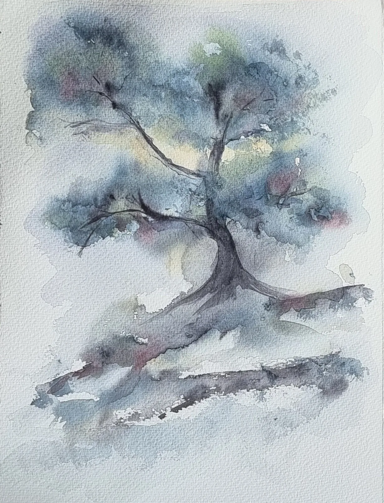 Akvarell The old oaktree av Åsa Edlund