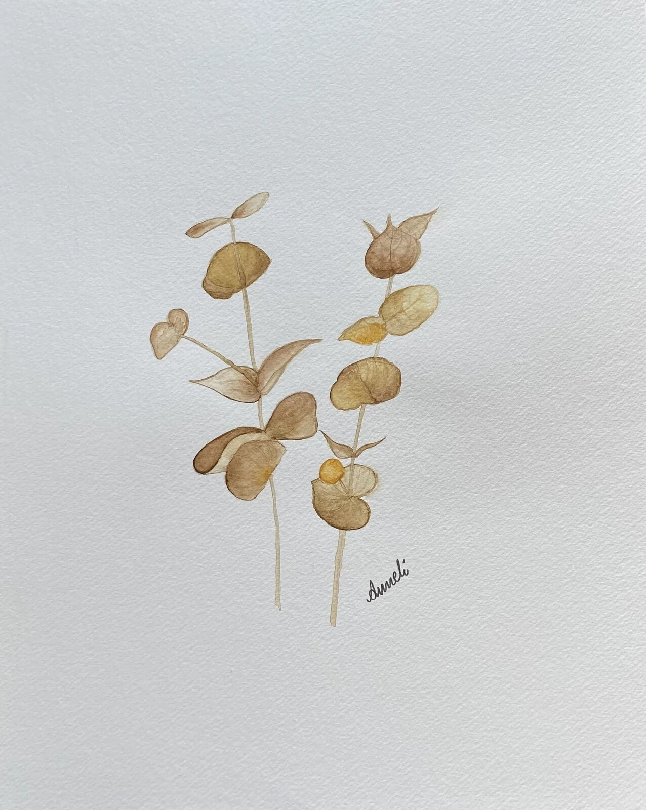 Akvarell Eucalyptus stjälk av Anneli Bendius