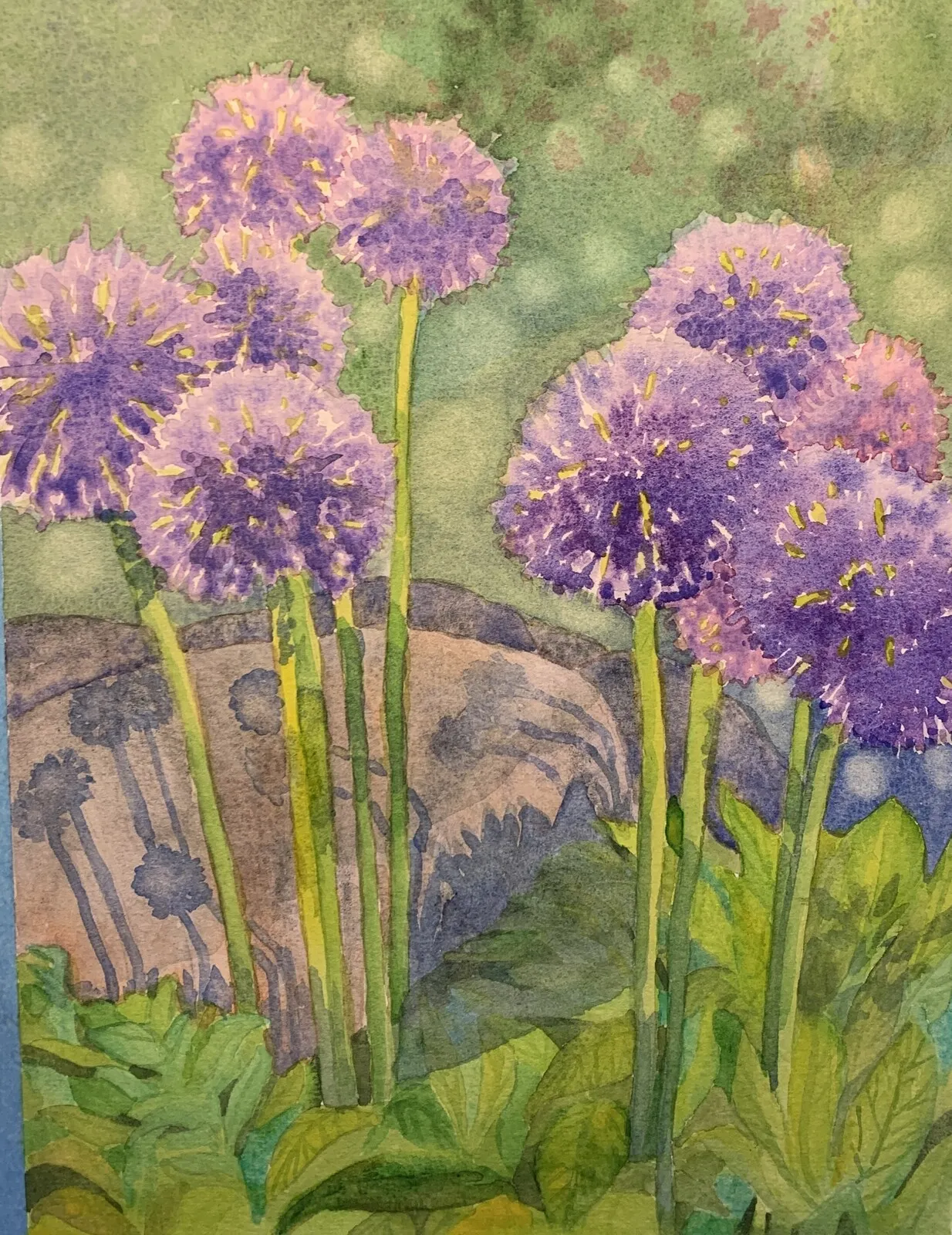 Akvarell Allium av Nina Gillbo