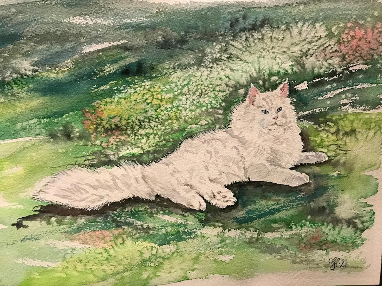 Akvarell Vit katt i gräs av Gunilla Hultman