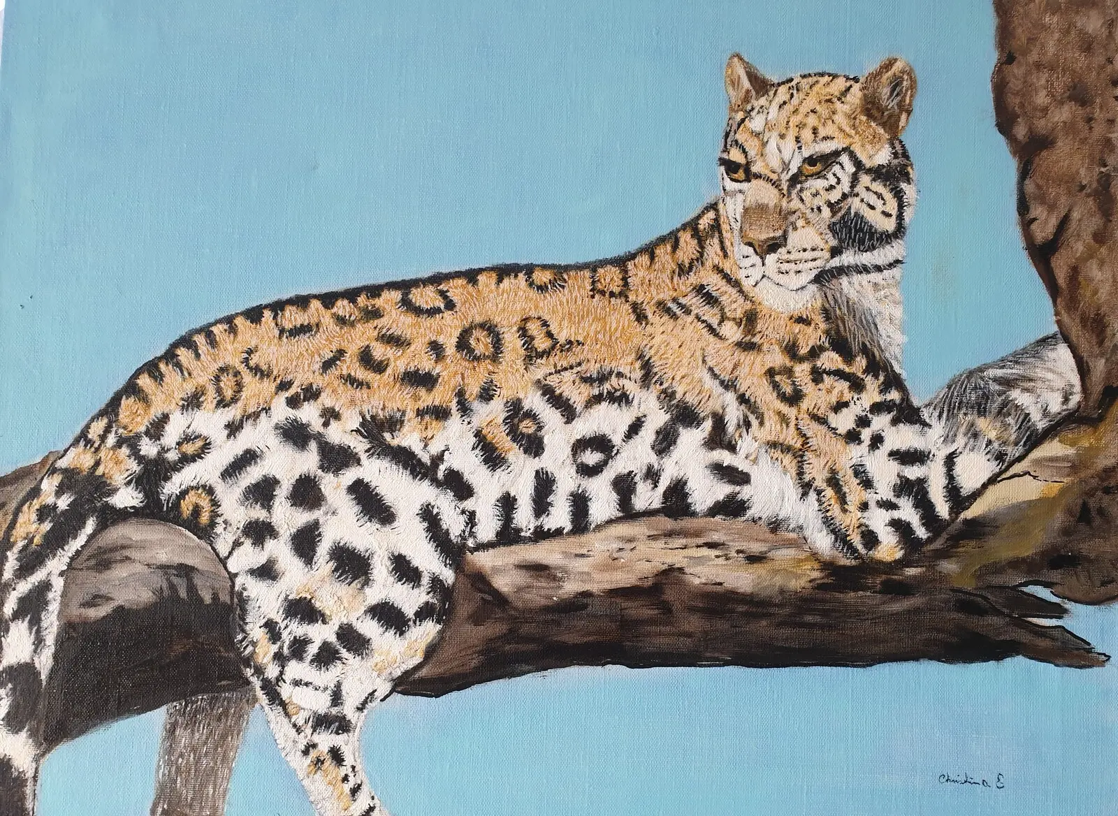 Gepard av Christina Erlandsson