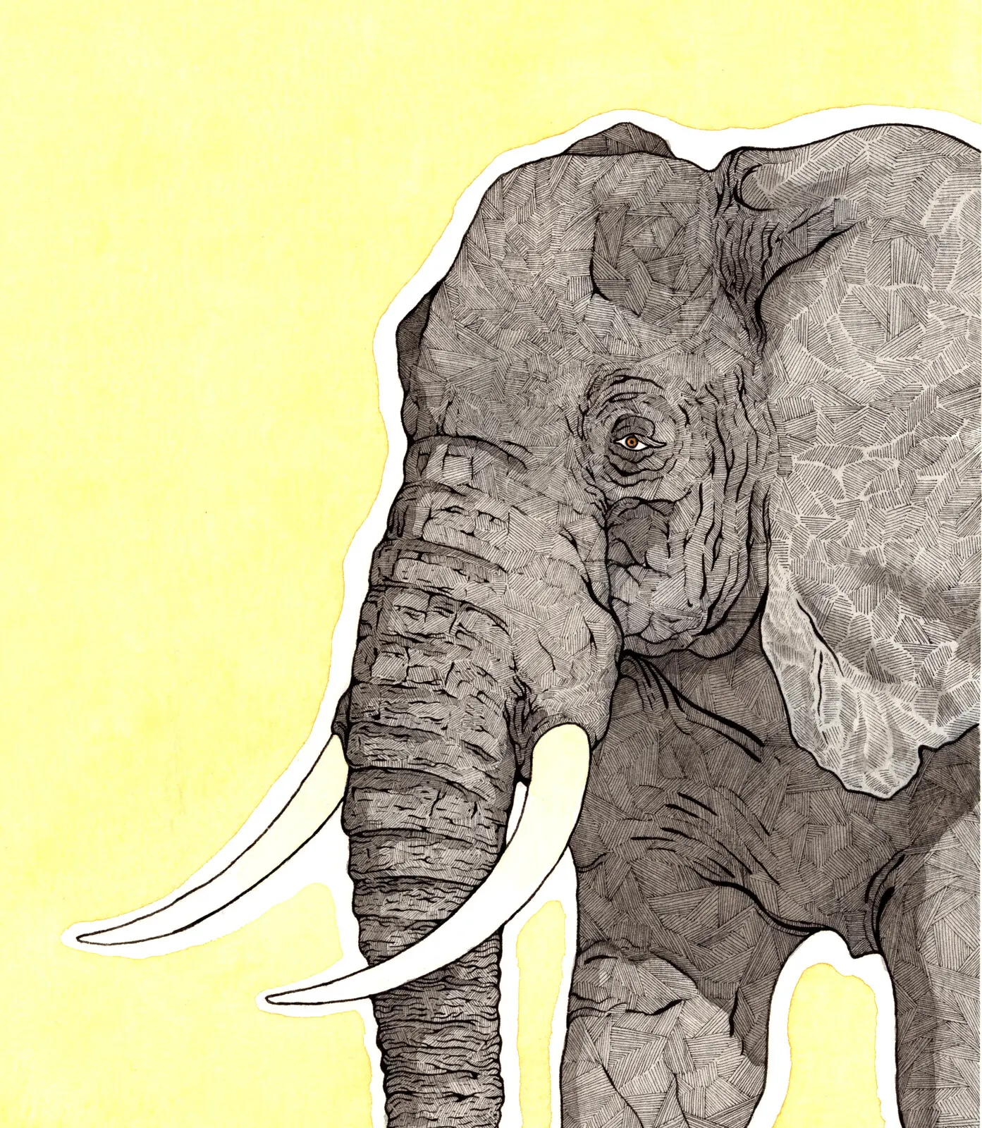 Akvarell Elefant av Max Aaron