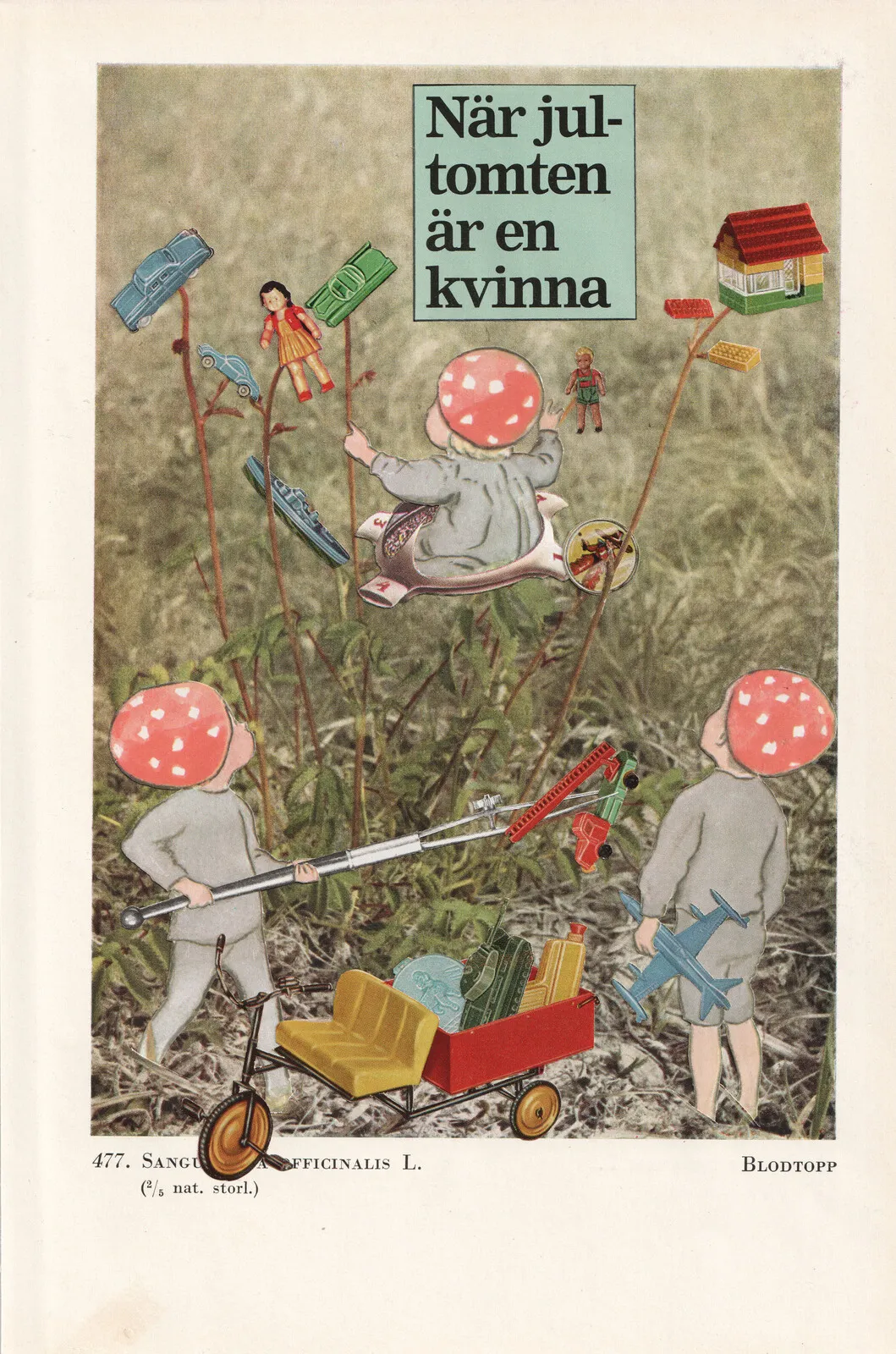 Mans tomte av Fred Reuterswärd Thustrup