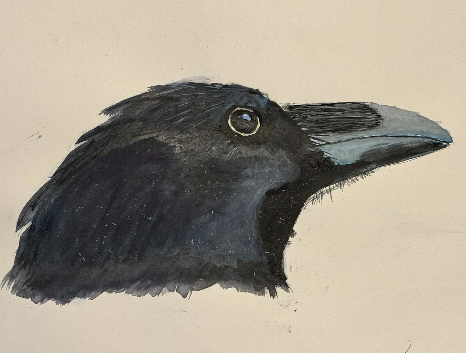 Akvarell Korp av Bengt Uusitalo