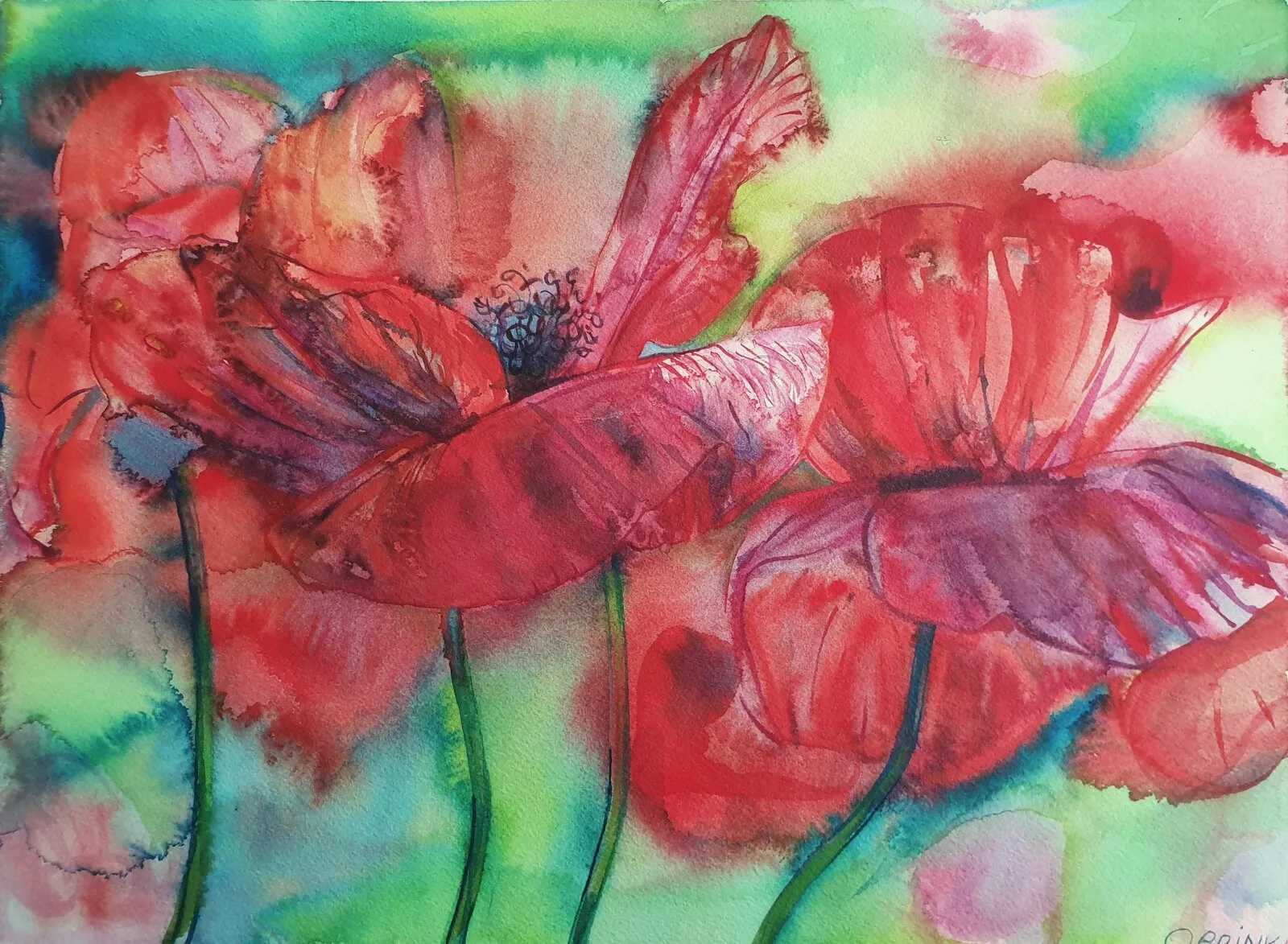 Akvarell Red Poppies (inramad) av Olga Brink Art