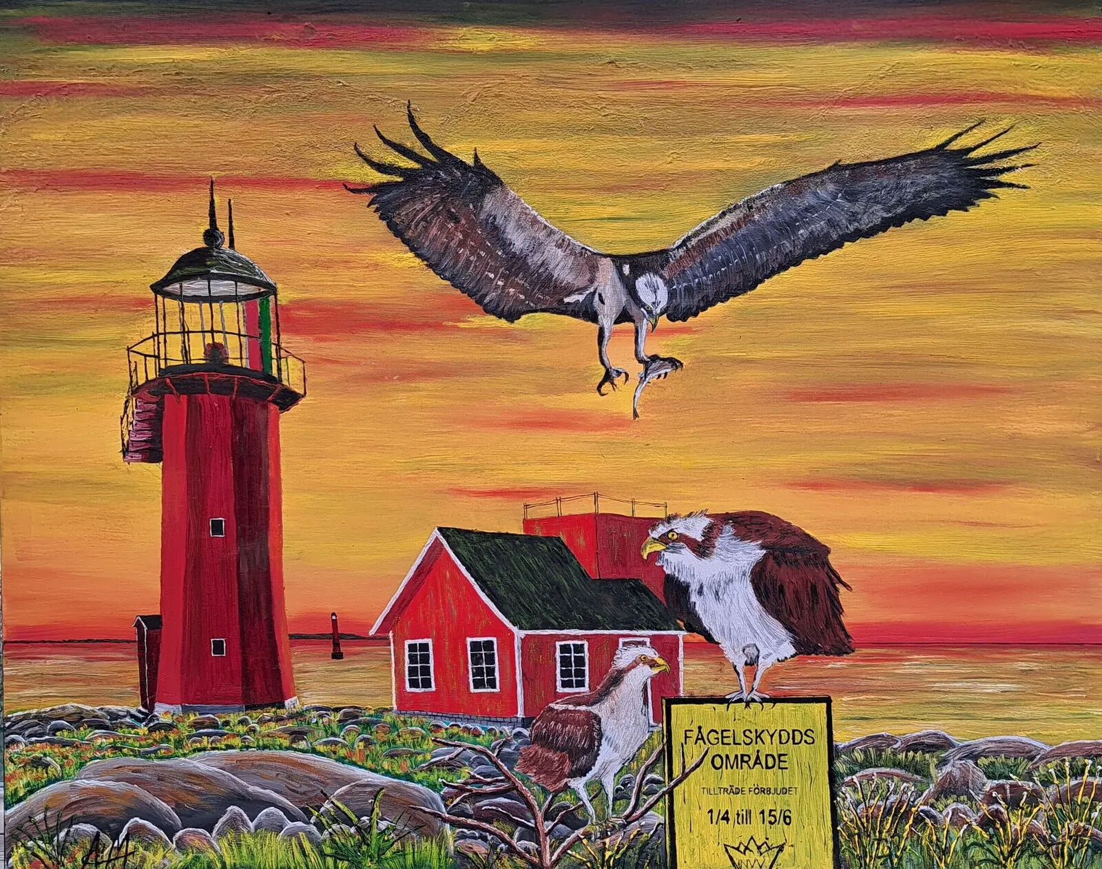 Oljemålning Fiskgjusar på Tylön av Anders Magnusson