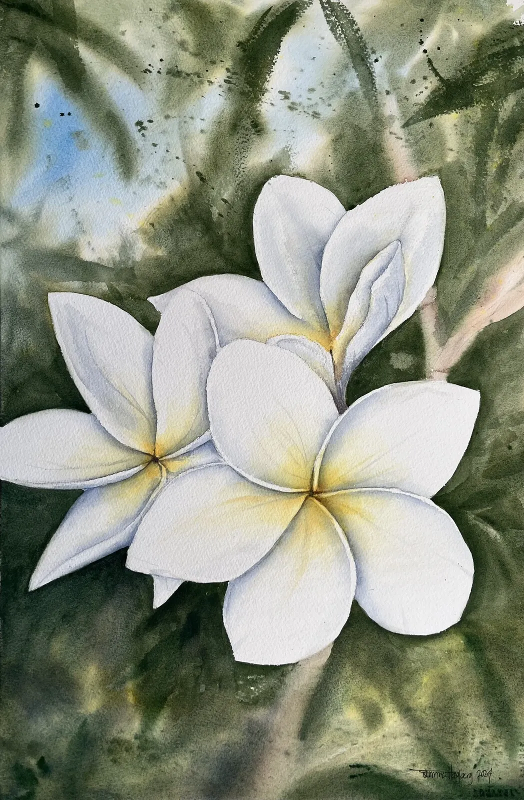 Akvarell Frangipani av Emma Hagberg