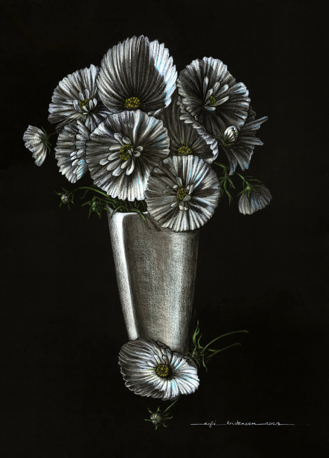 White cosmos flowers - Vita rosenskära blommor av Egle Kristensen