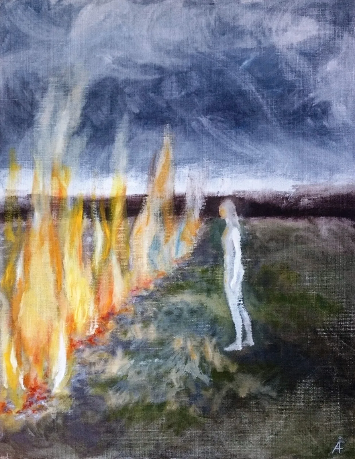 Paradoxen av Åsa Forsman