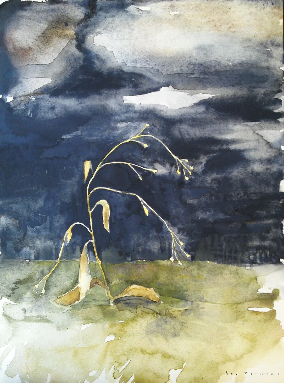 Glöm mej inte 2 av Åsa Forsman