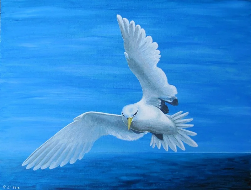 Akrylmålning Exotic seabird av Gösta Lindunger