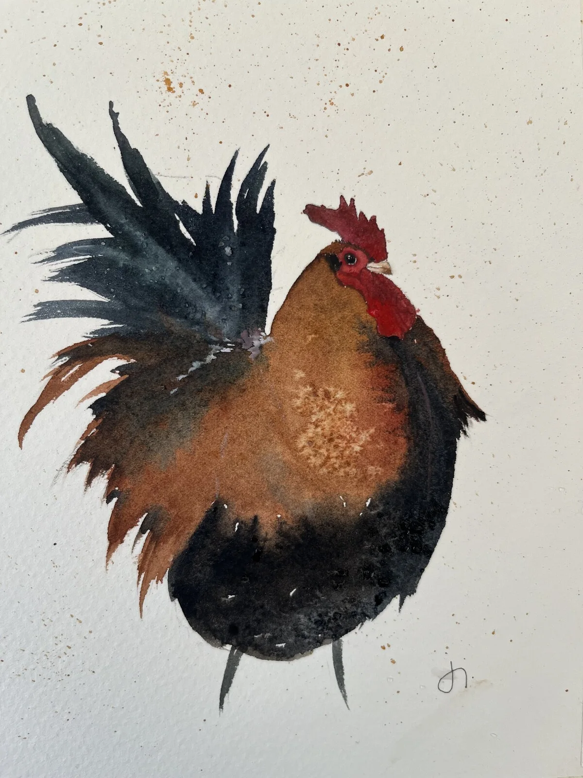 Akvarell Tuppig av Jenny Jonesjö