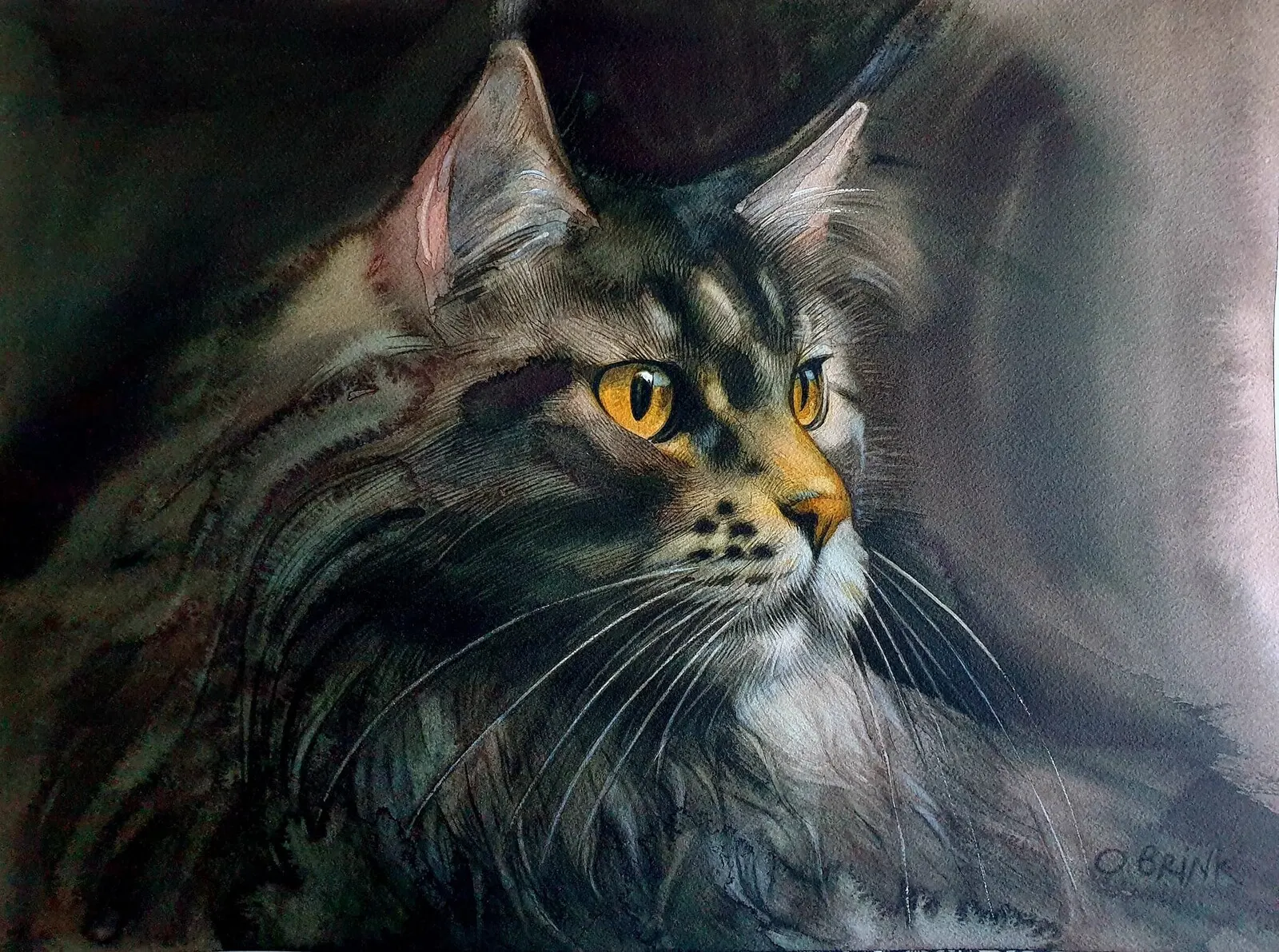 Akvarell Maine Coon Cat av Olga Brink Art