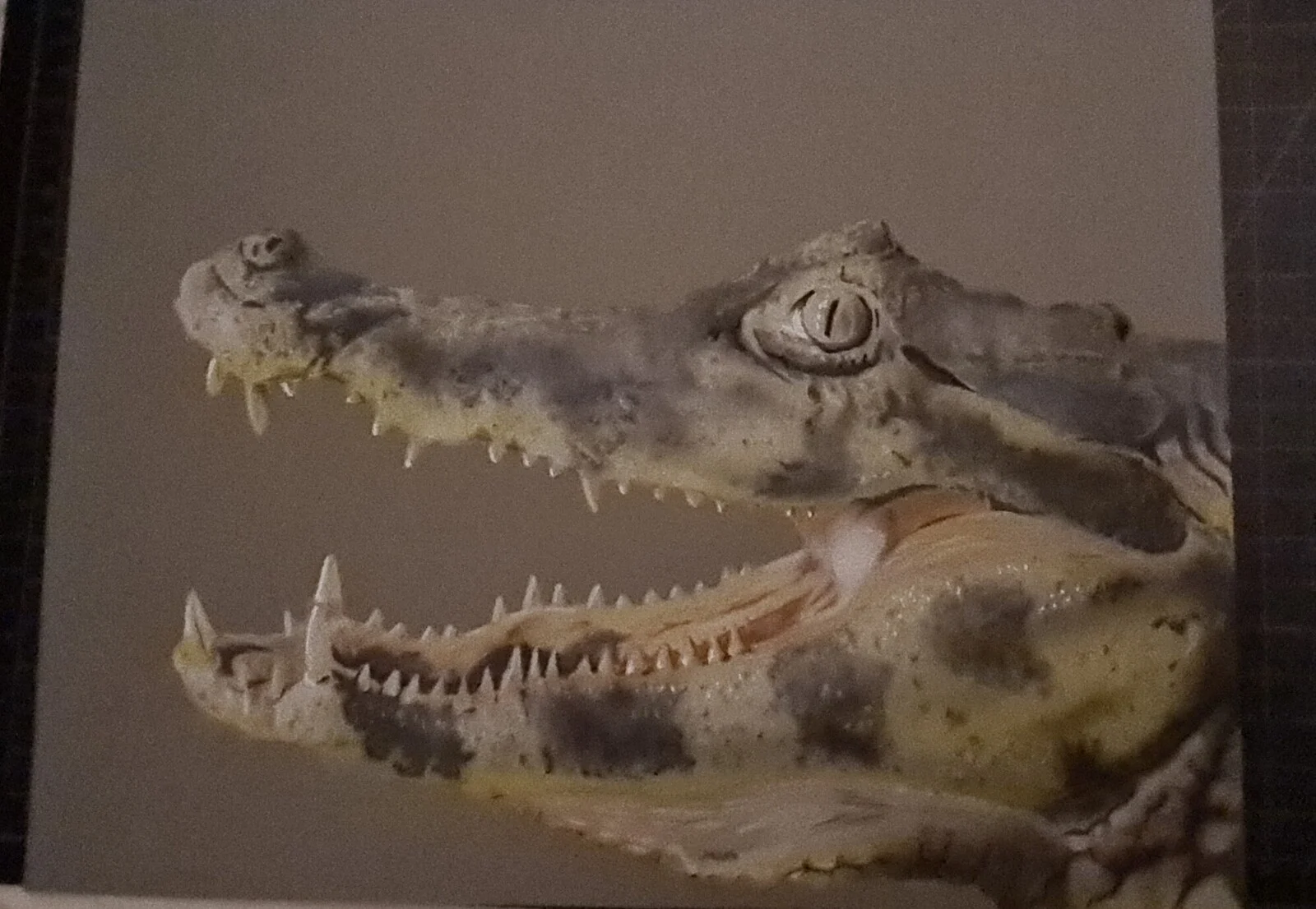 Alligator av HG-Airbrush Georgsson