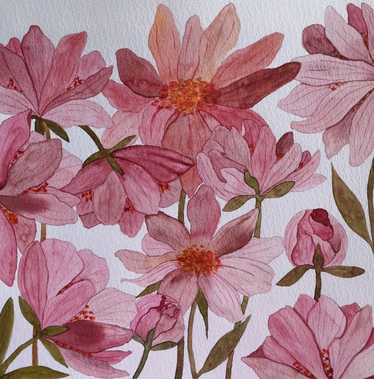 Akvarell Pink beauty av Anette Arkbring