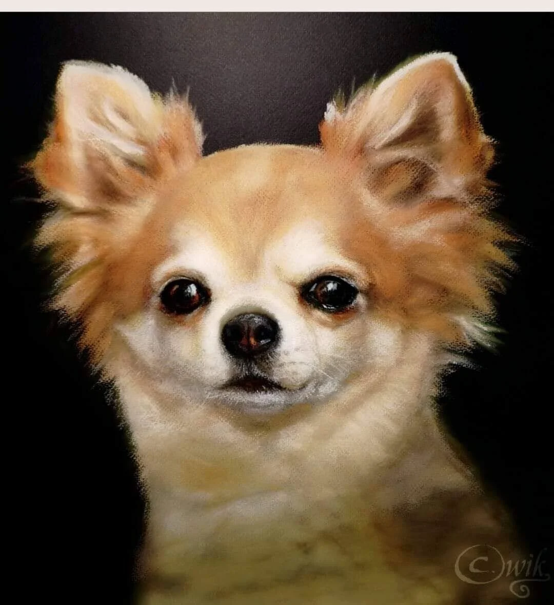 Chihuahuan av Catarina Wik