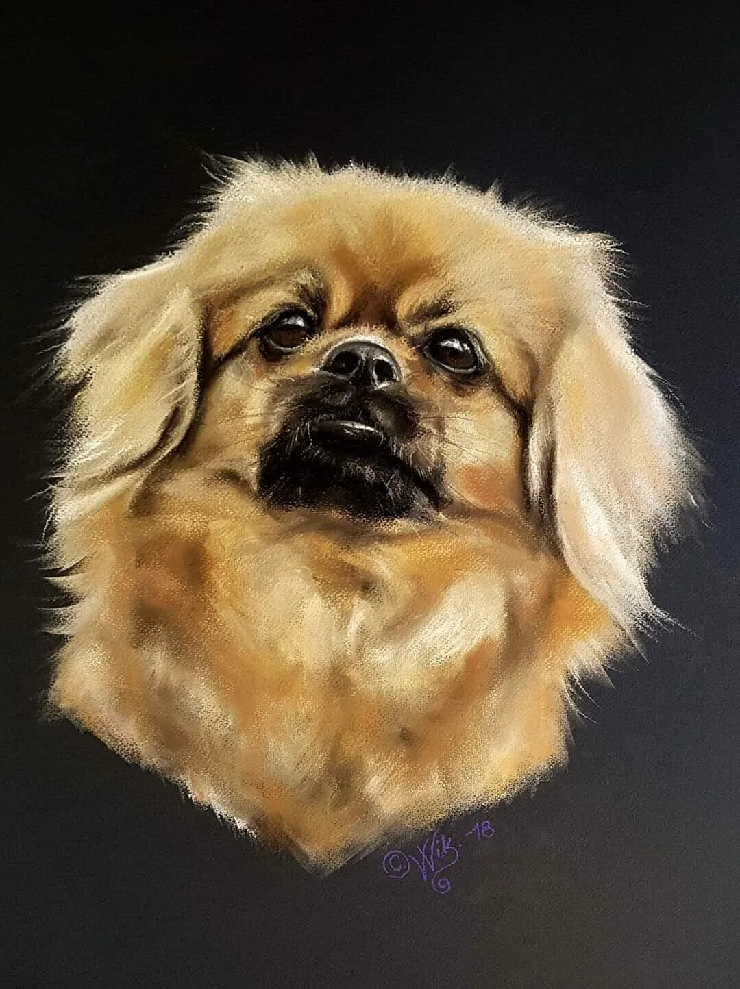 Tibetansk spaniel Britta på Tjörns av Catarina Wik