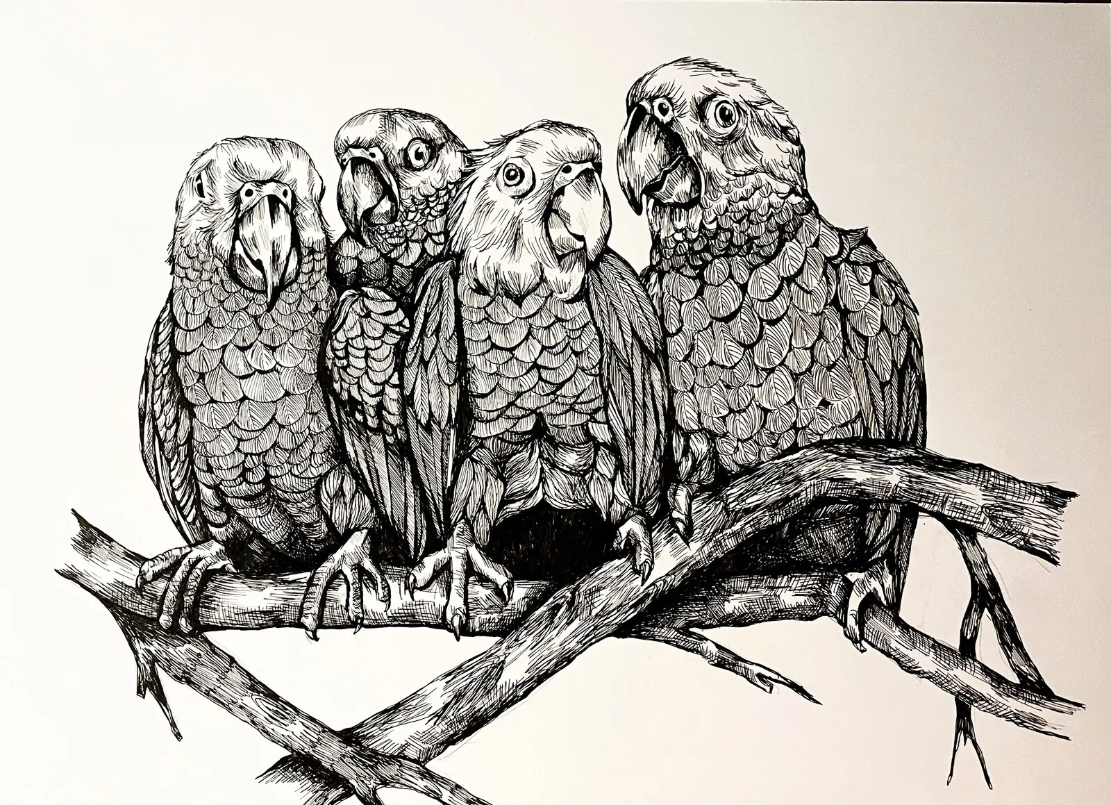 Aror av Anna-Karin Engdahl