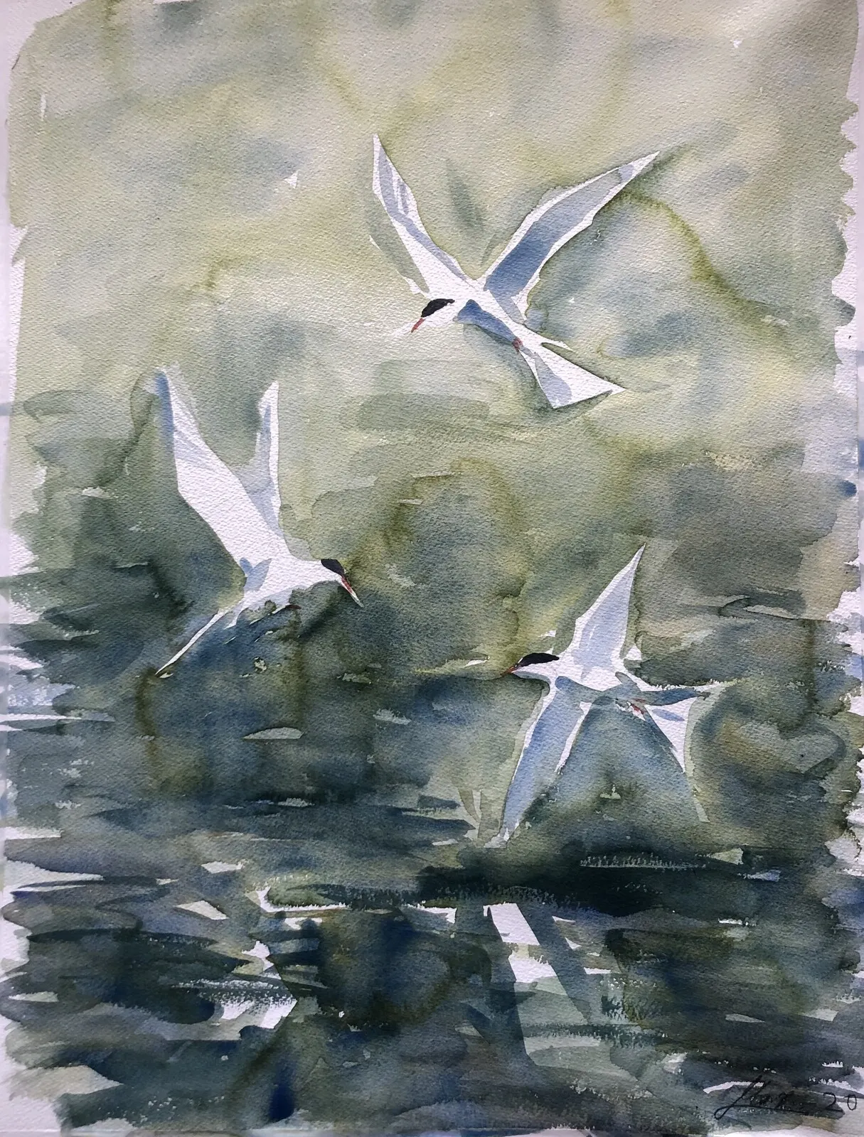 Akvarell Fisktärnor av Martin Persson
