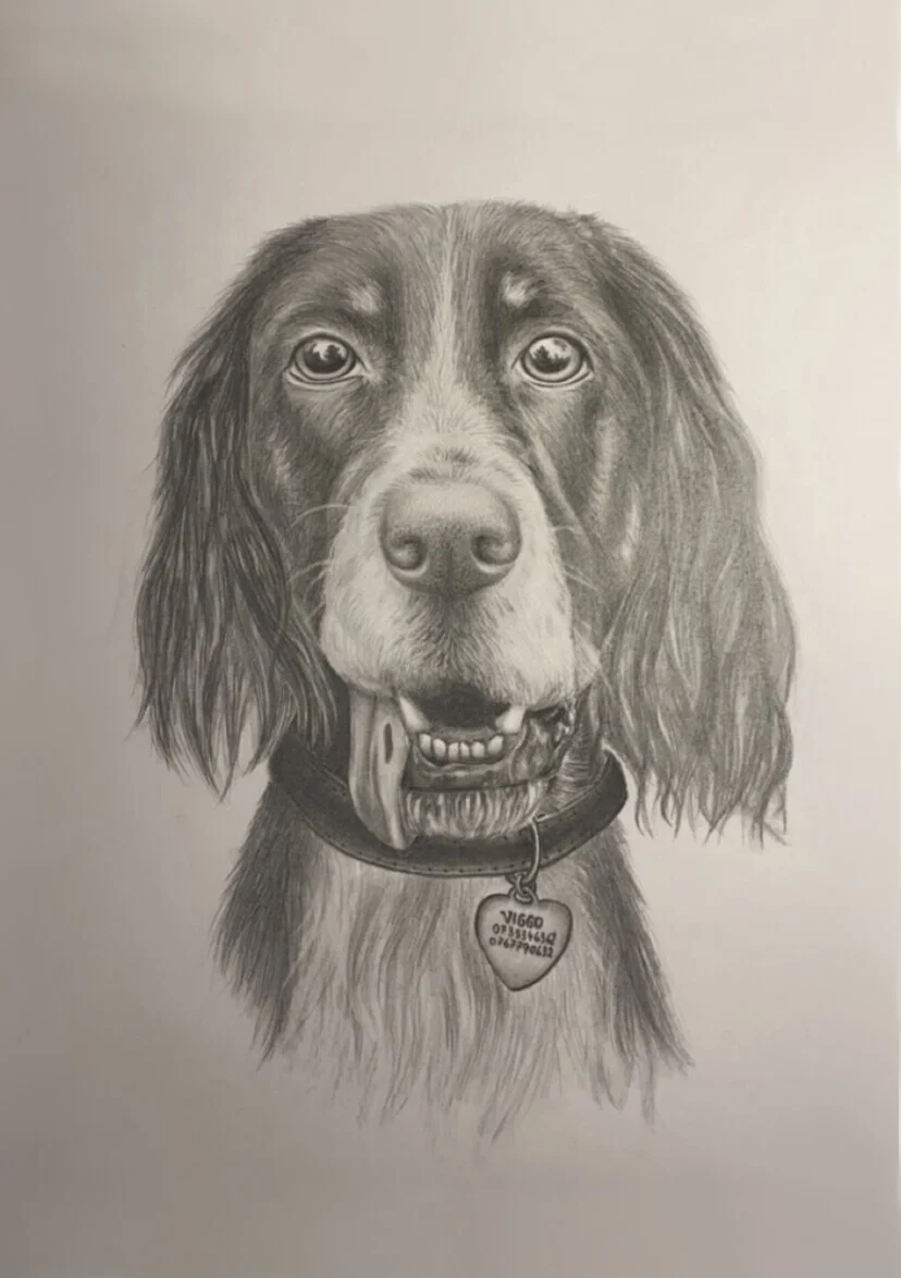 Viggo av Caroline Börjesson