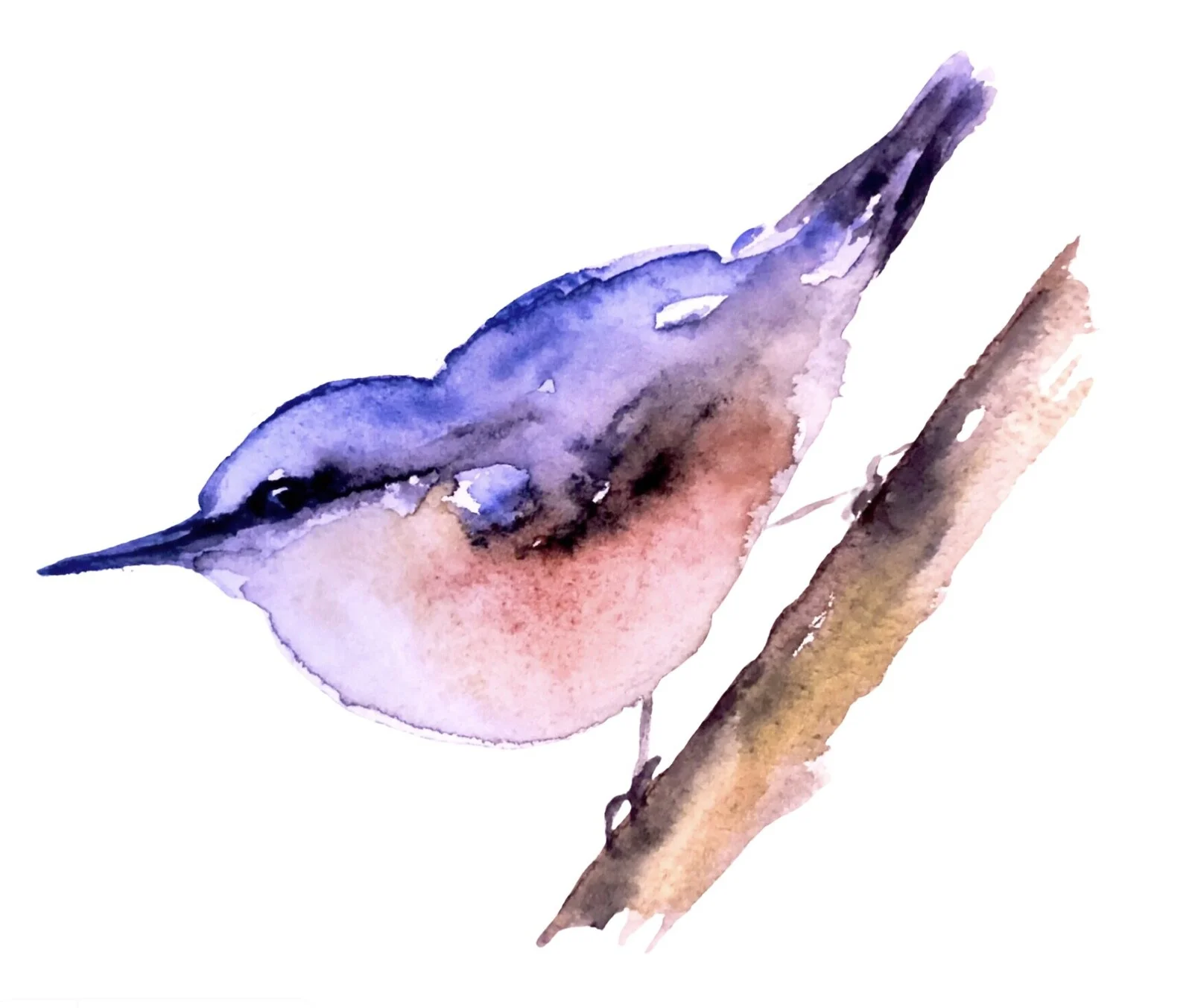 Akvarell Nötväckan av Petra Maison