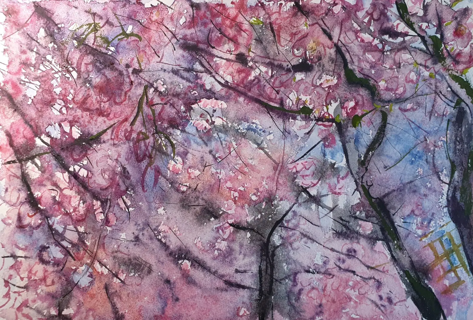 Akvarell Sakura. Cherry Blossom in Stockholm. (inramad) av Olga Brink Art