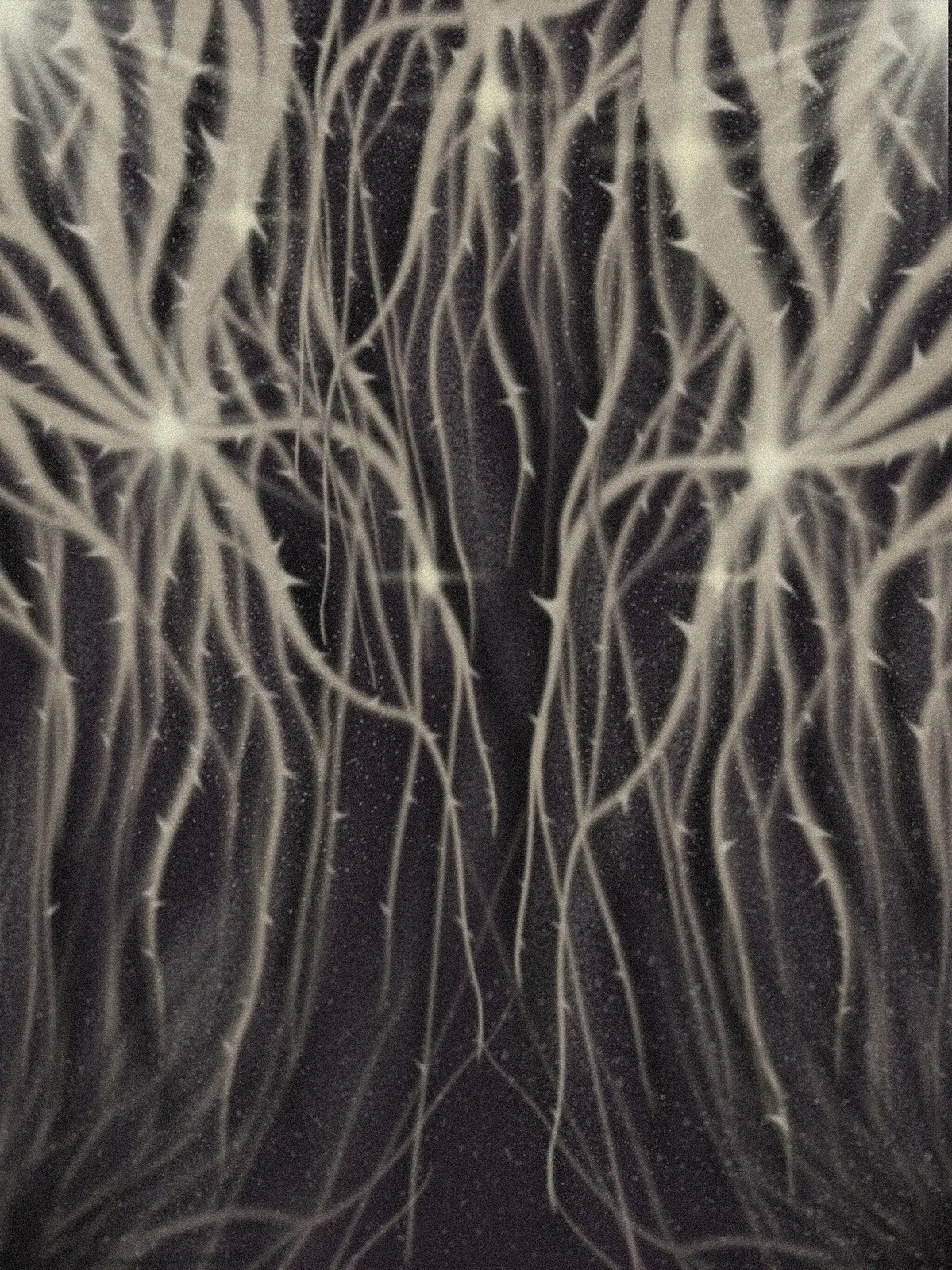 N°05 av Jennifer Nilsson