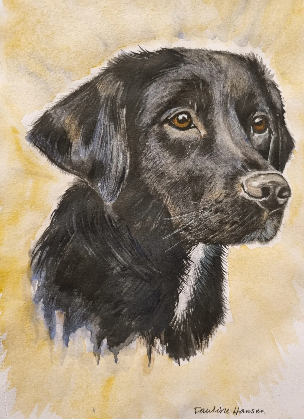 Akvarell The dog av Pauline Hansen