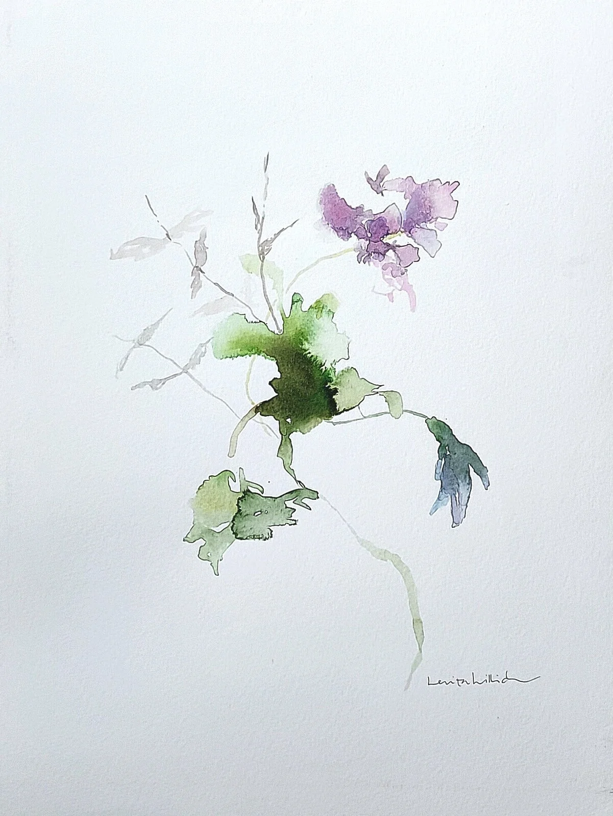 Gracile av Lenita Lillich