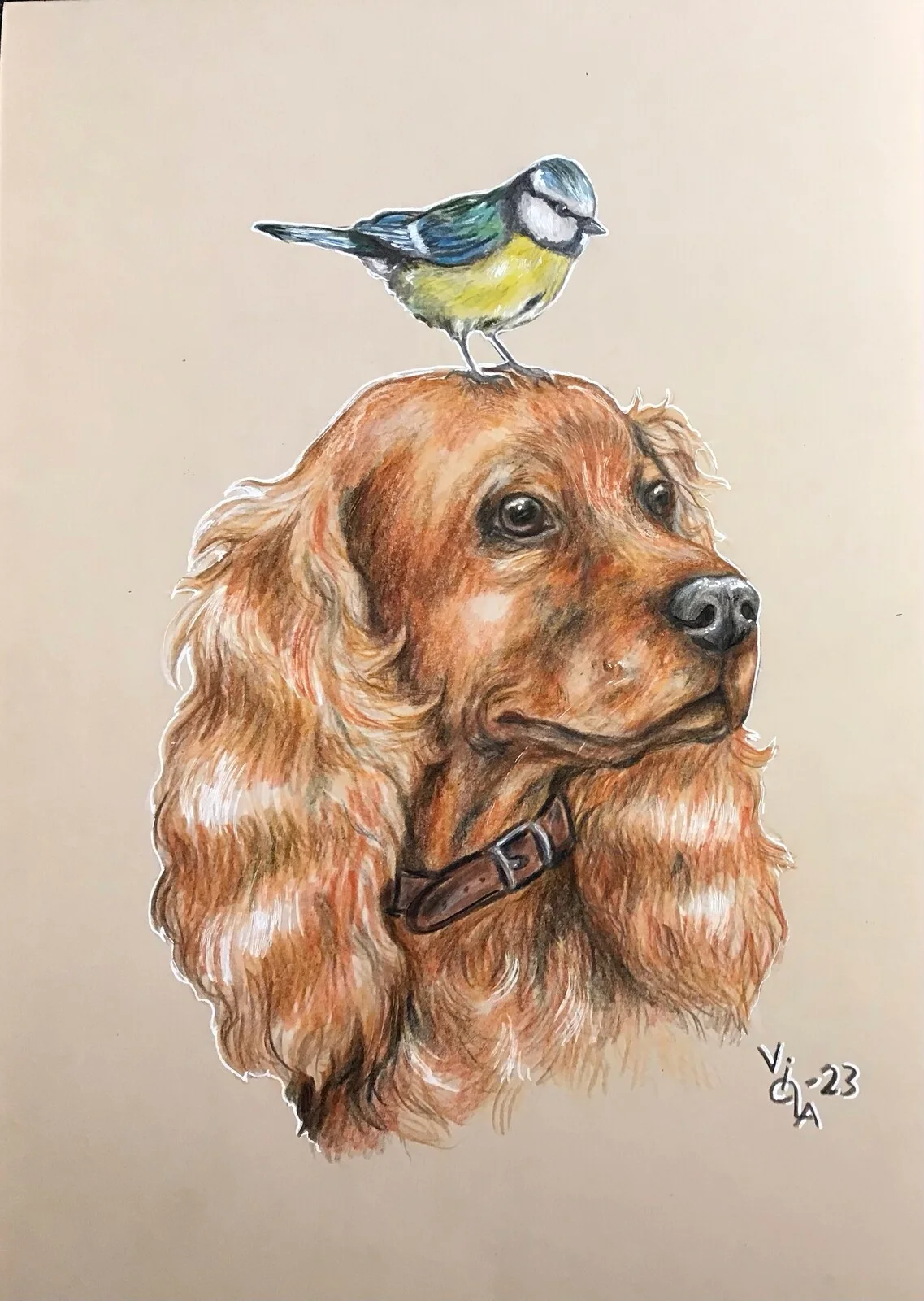 Oväntad Vänskap av Viola Clarin