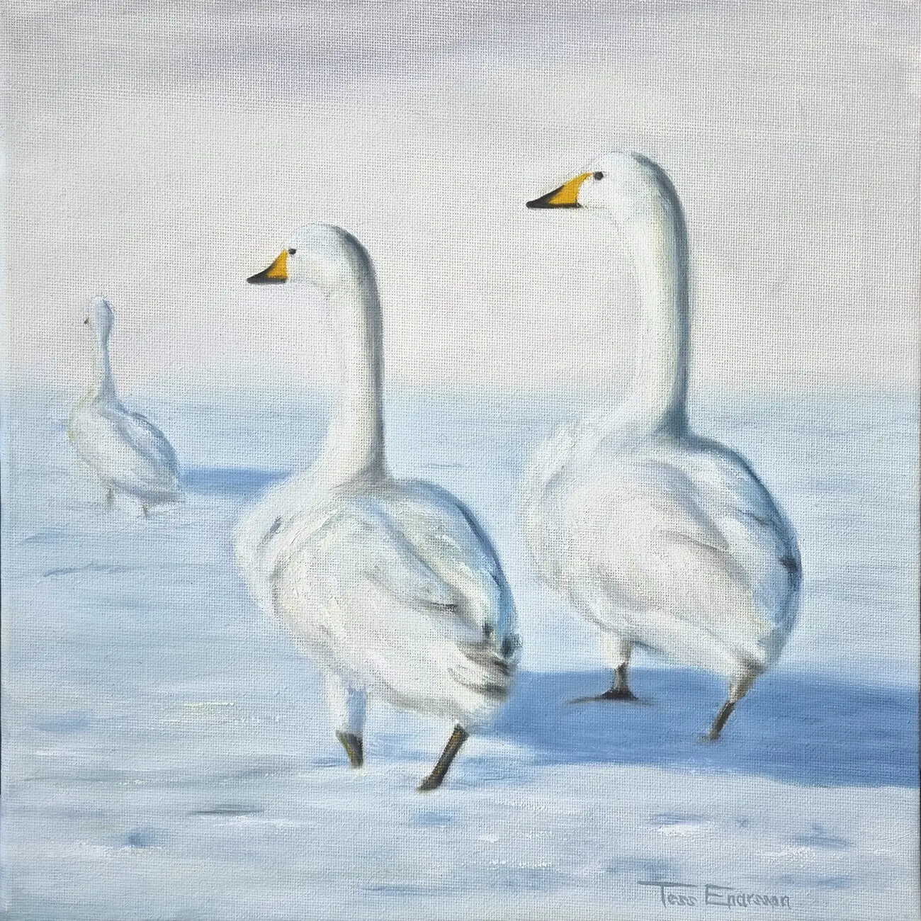 Oljemålning Svanar av Tess Enarsson