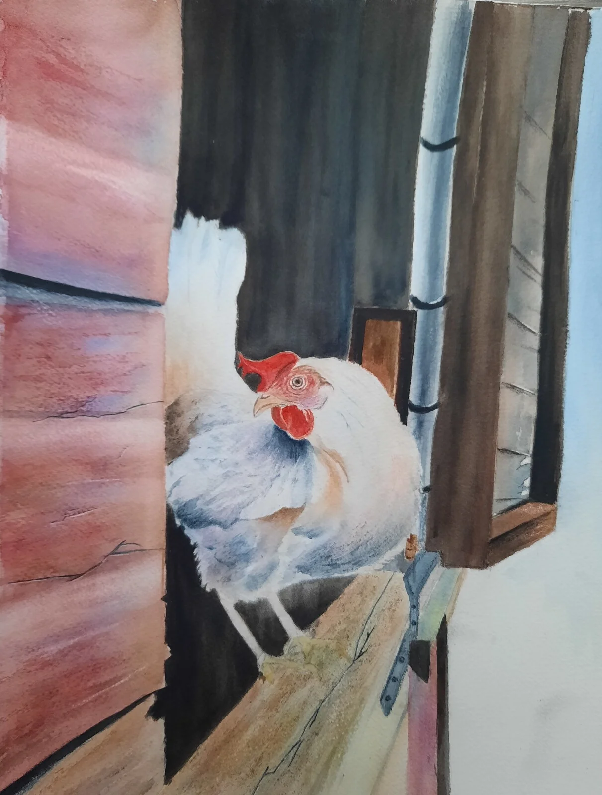 Akvarell Vi höns som har det bra av Birgitta Åström