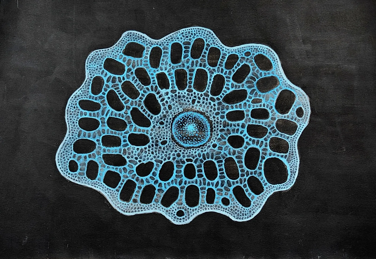 Equisetum av Julia Lorentzson