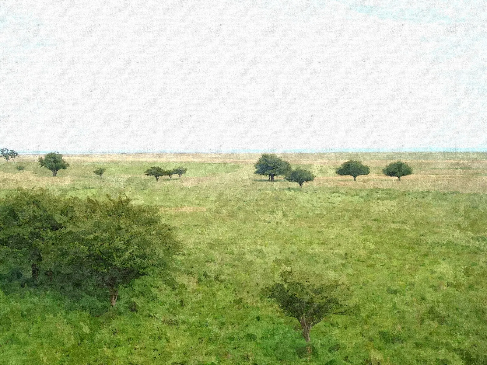 Öland II av Harri Ylikomi