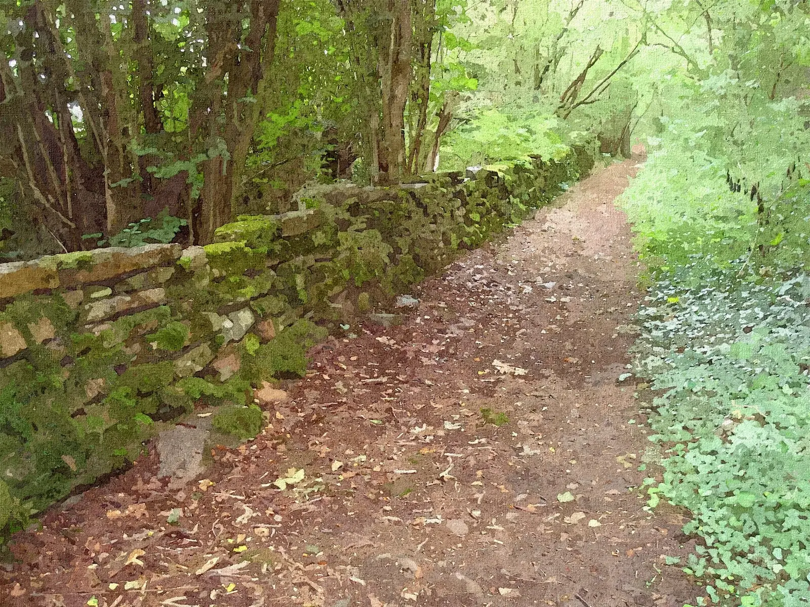 Öland IV av Harri Ylikomi