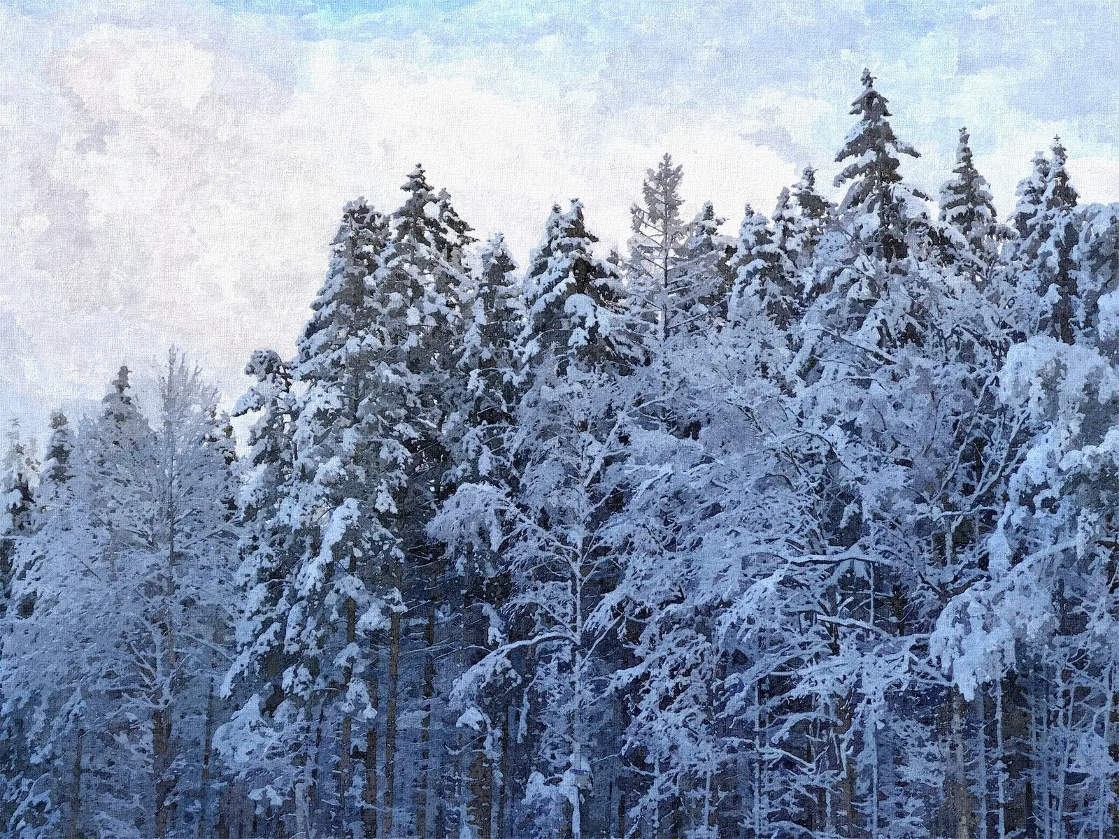 Vinter i Blekinge II av Harri Ylikomi