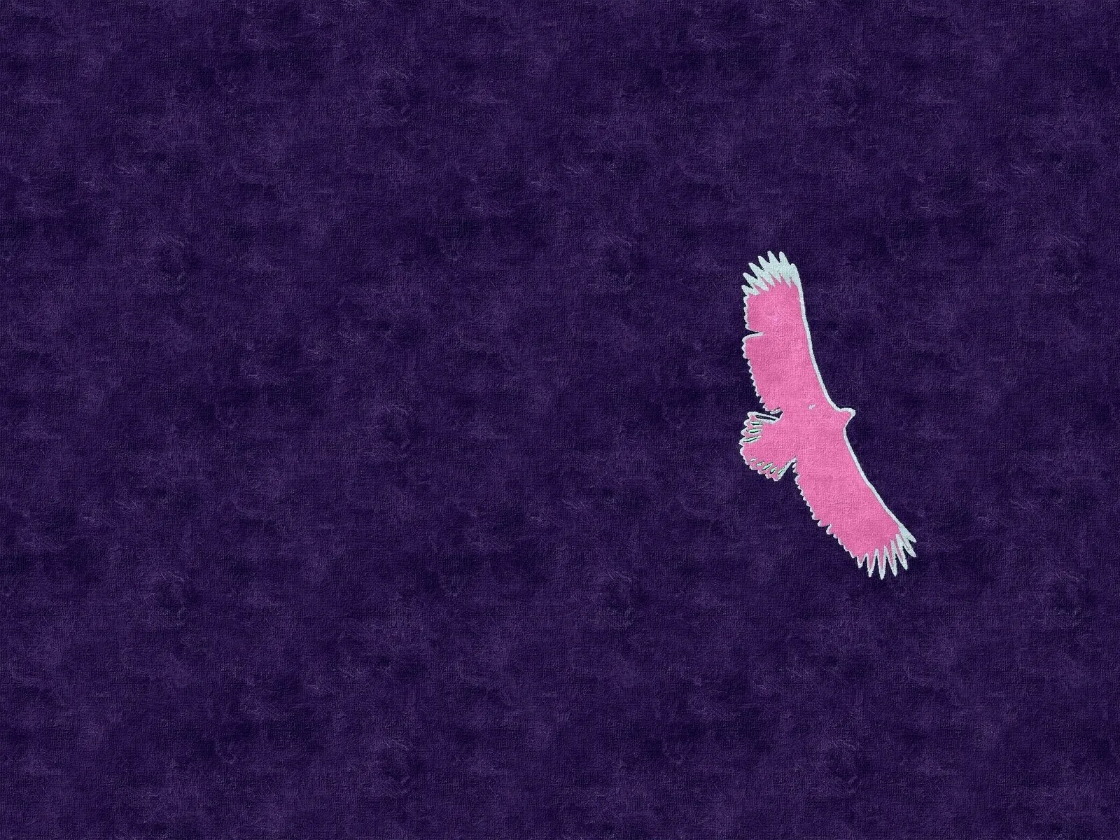 Havsörn på Blekinges himmel Pop Art XIV av Harri Ylikomi