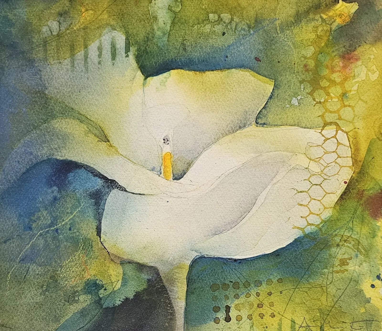 Akvarell Liljan av AnnMari Löf