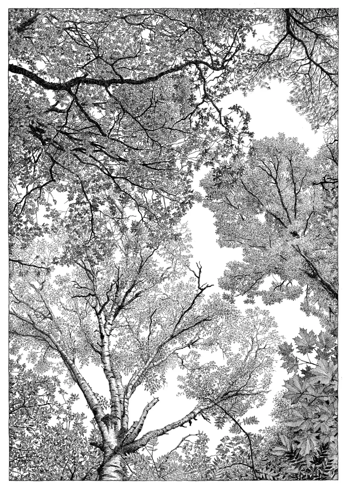 Summer av Andreas von Buddenbrock