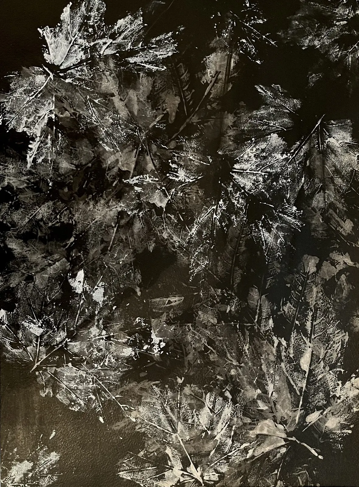Akrylmålning Black and white Leafs av Amie Norrman Söderman