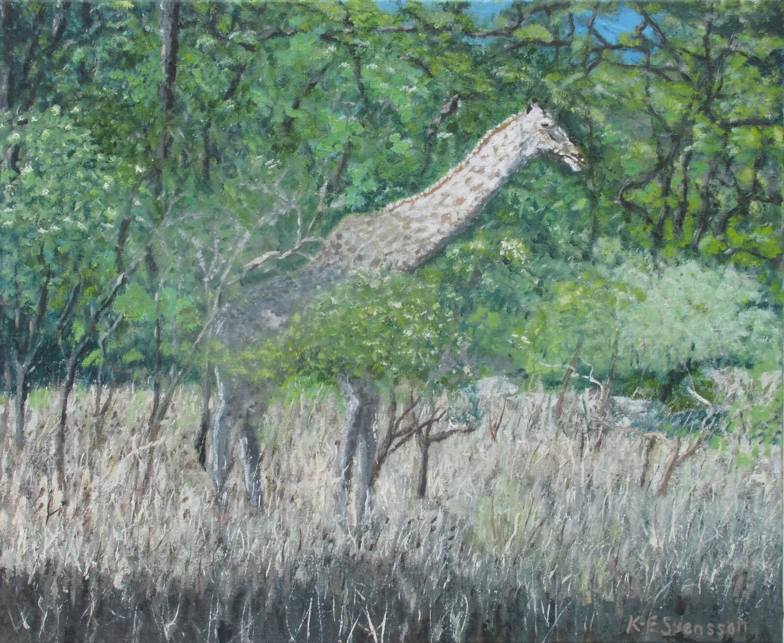 Oljemålning Giraff i Livingstone halvt i skuggan av Karl-Erik Svensson