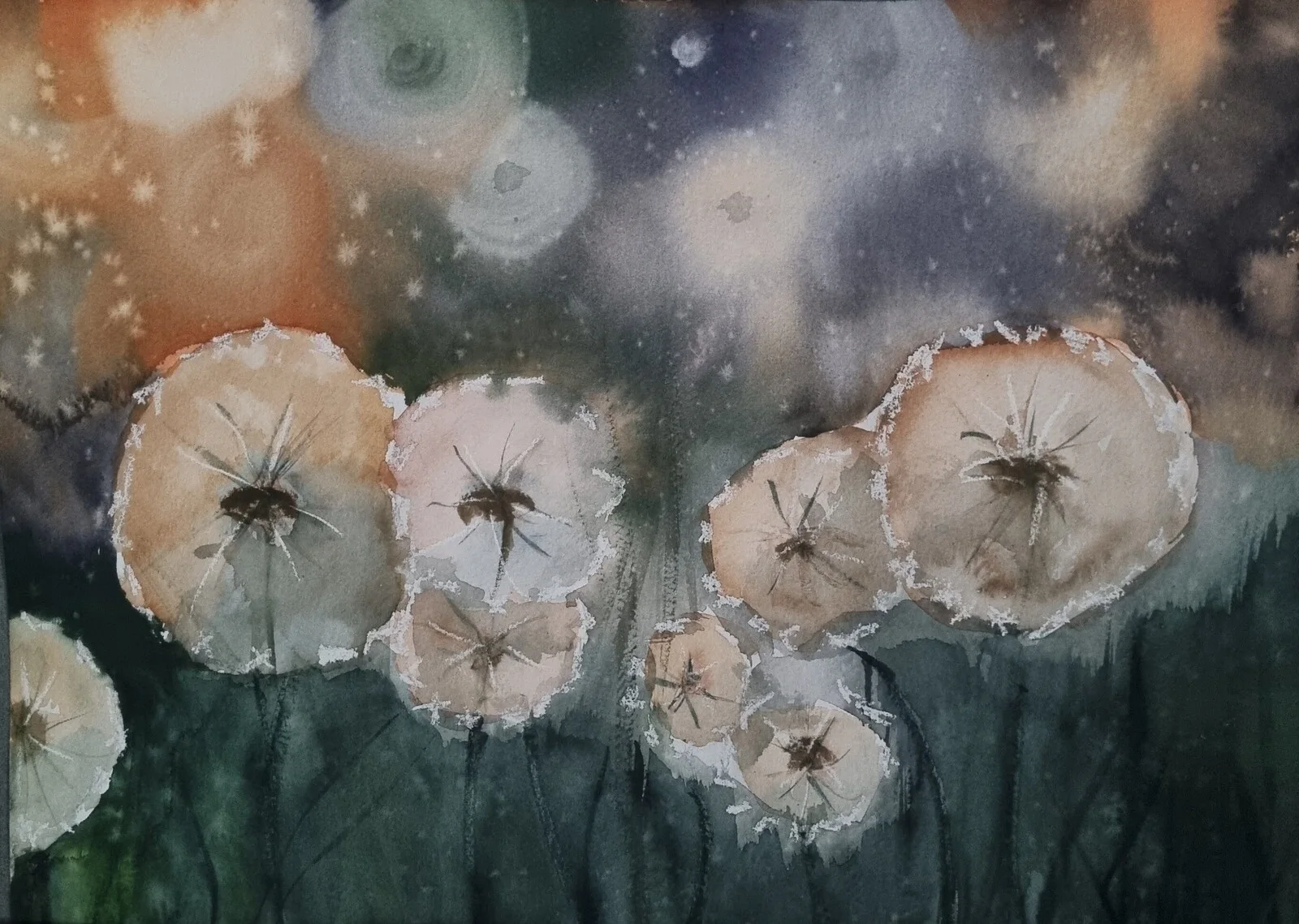 Akvarell Maskrosbarn av Mona Glavå