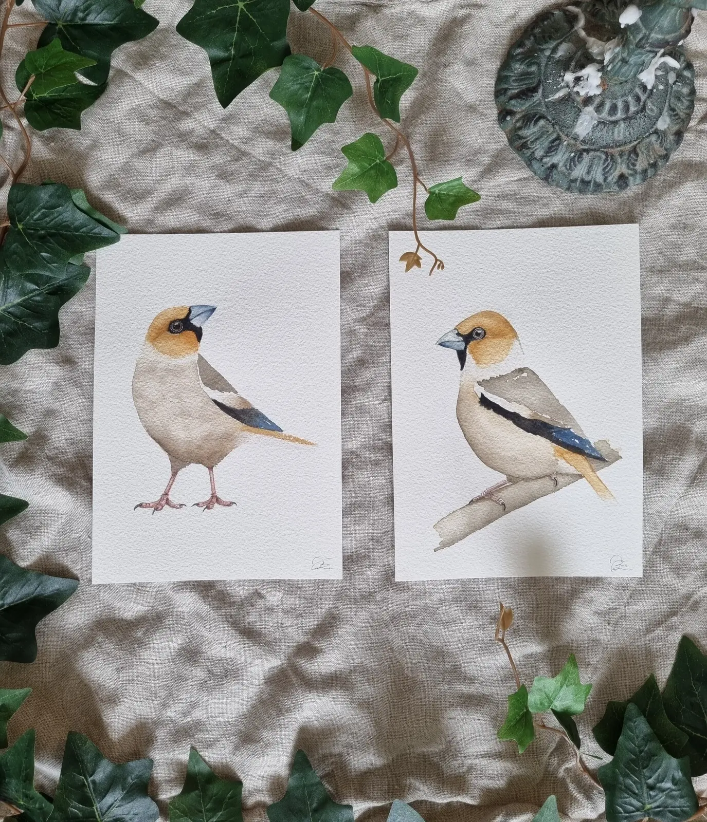 Akvarell Stenknäck av Kajsa Olson - Art By Kajjan