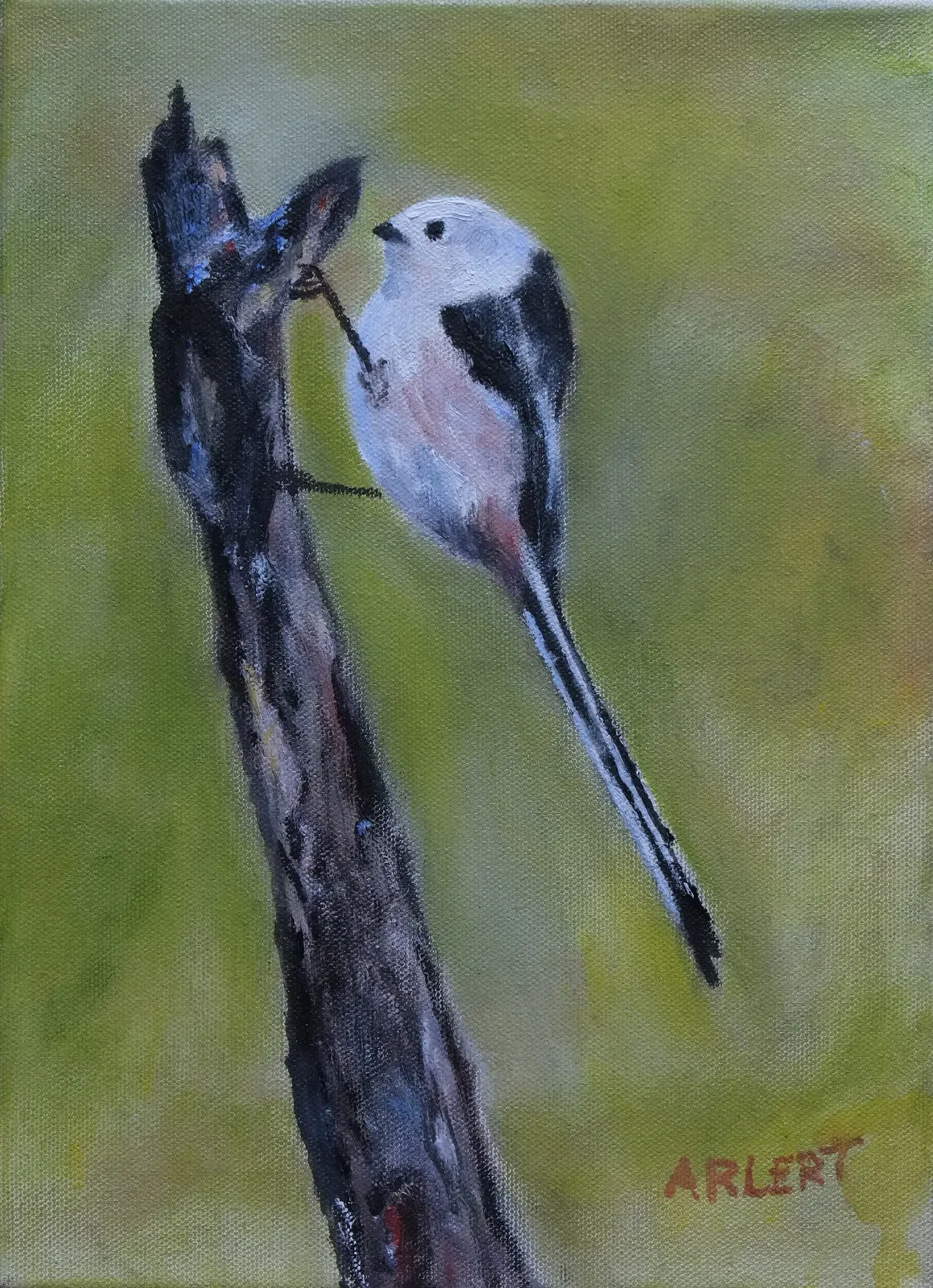 Oljemålning Stjärtmes av Bertil Arlert