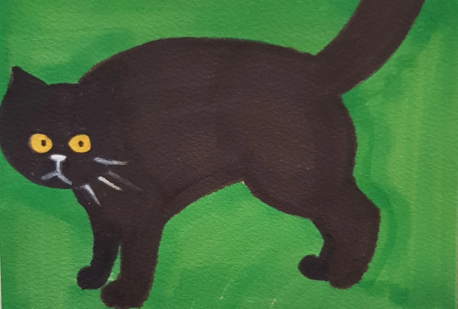 Katt av Jonas Pehrsson