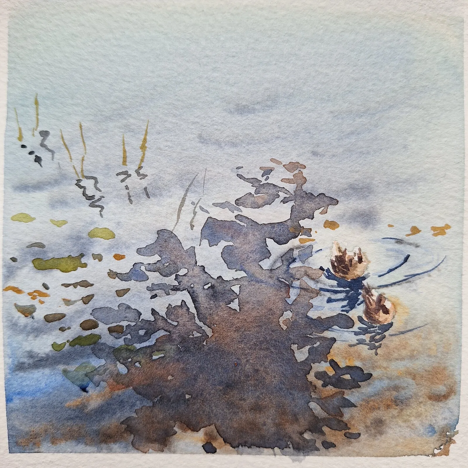 Änderna bland nedfallande löv av Petra Skogsberg