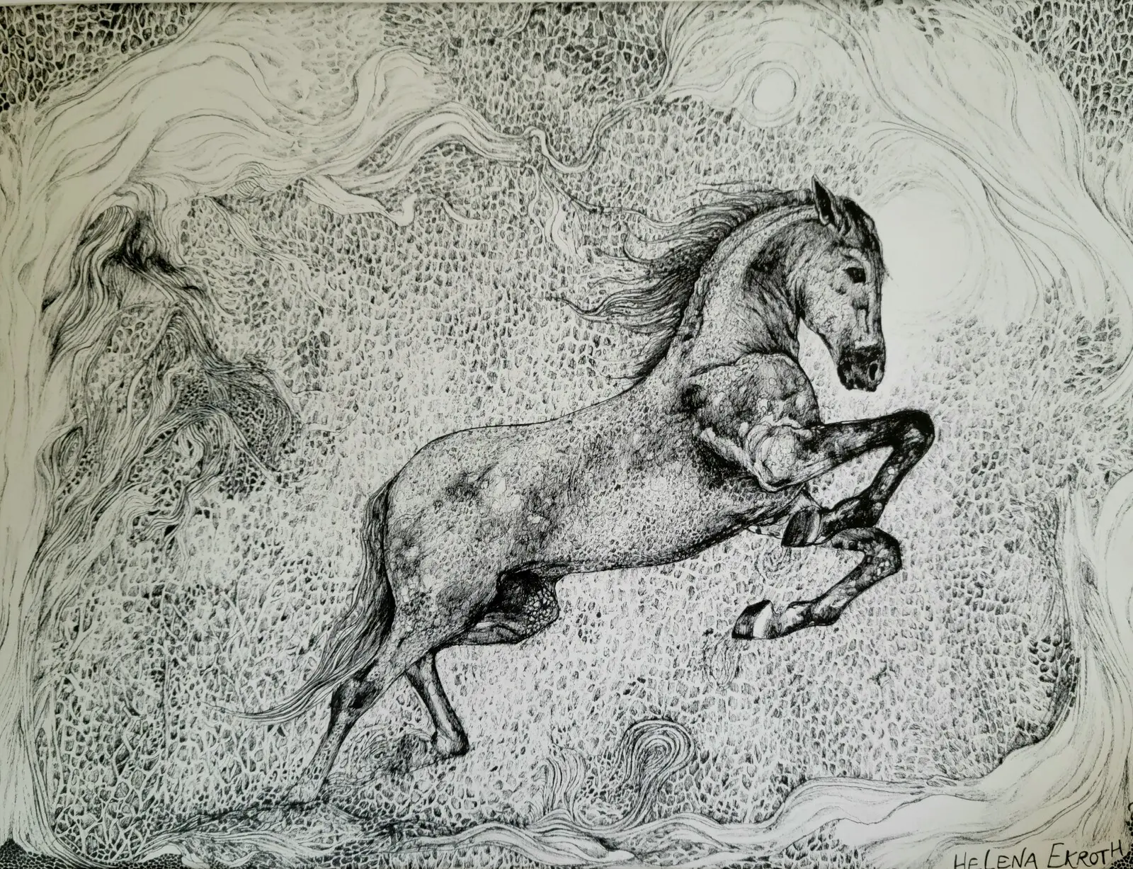 Horse av Helena Ekroth