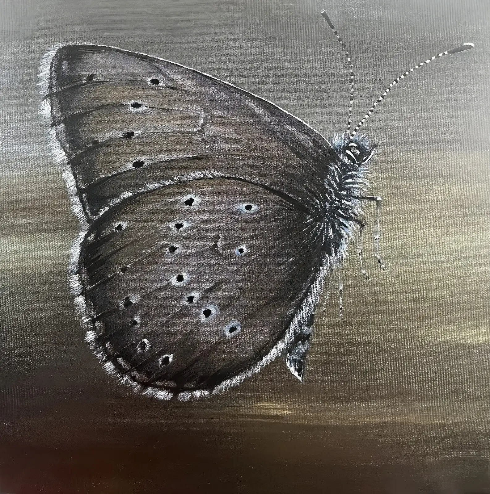 Akrylmålning Alkonblåvinge av Anne E Svensson