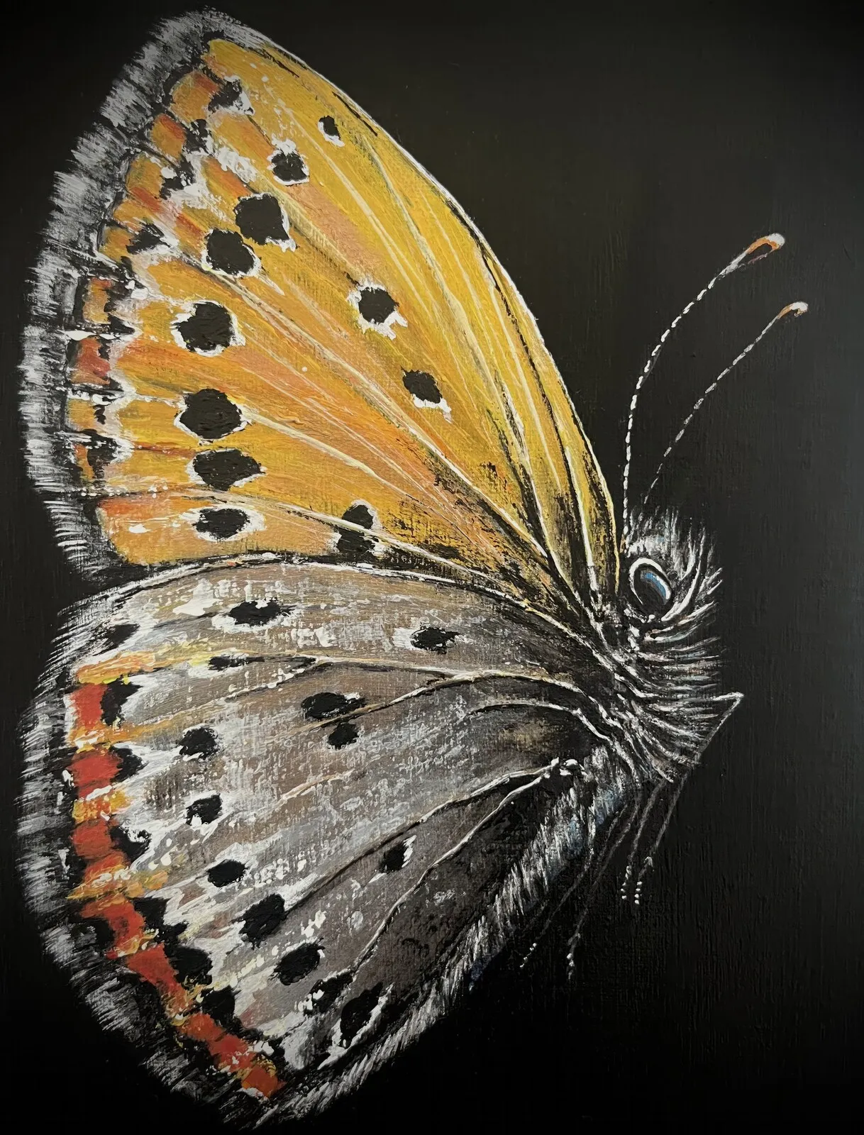 Akrylmålning Violettguldvinge av Anne E Svensson