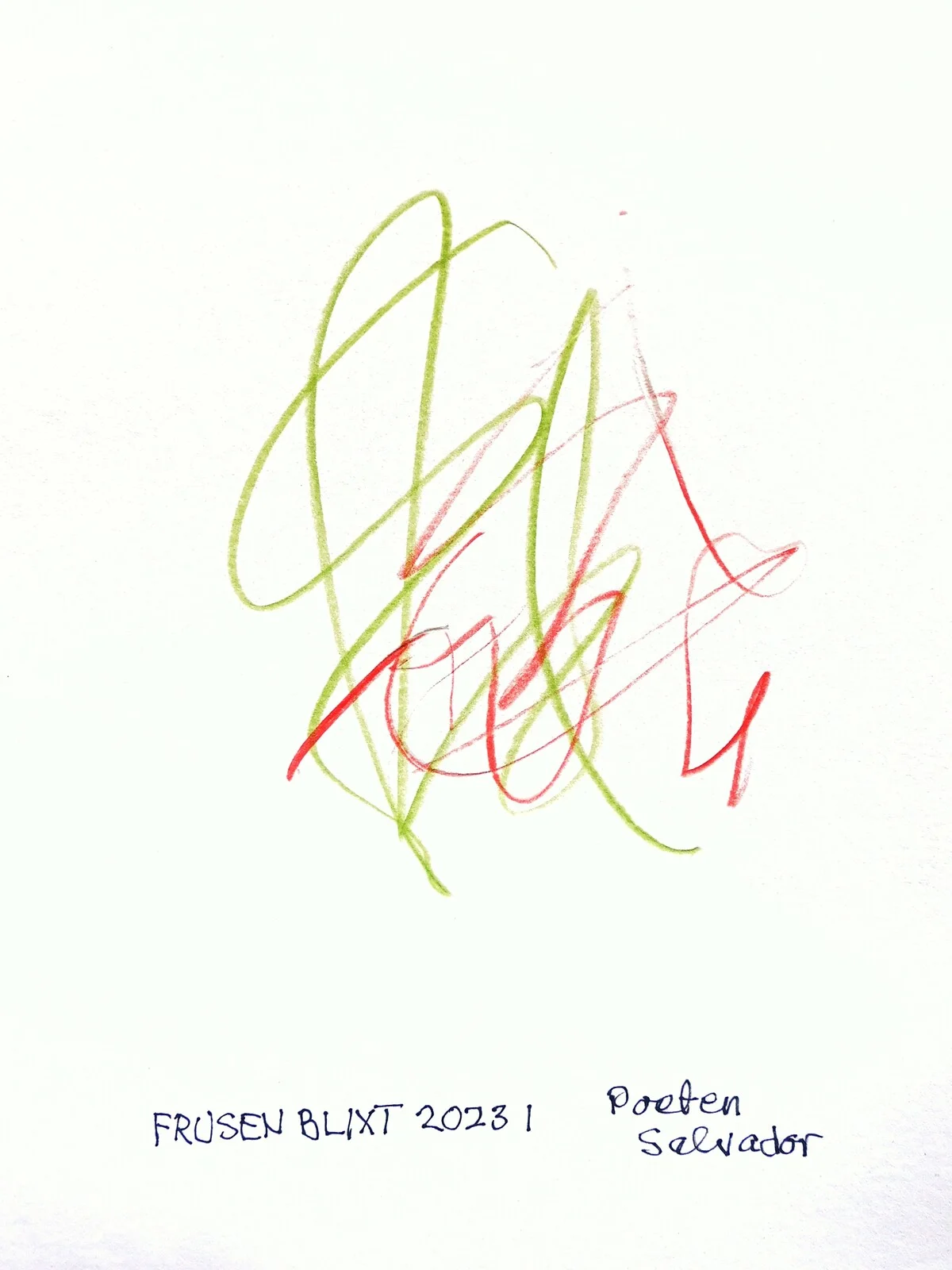 Frusen blixt 2023 1 av Poeten Salvador